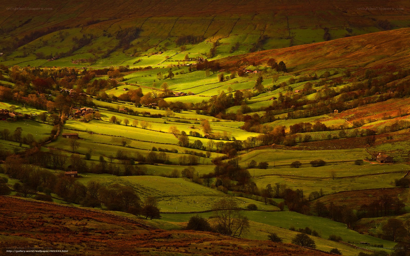 Sunlit valley landscape