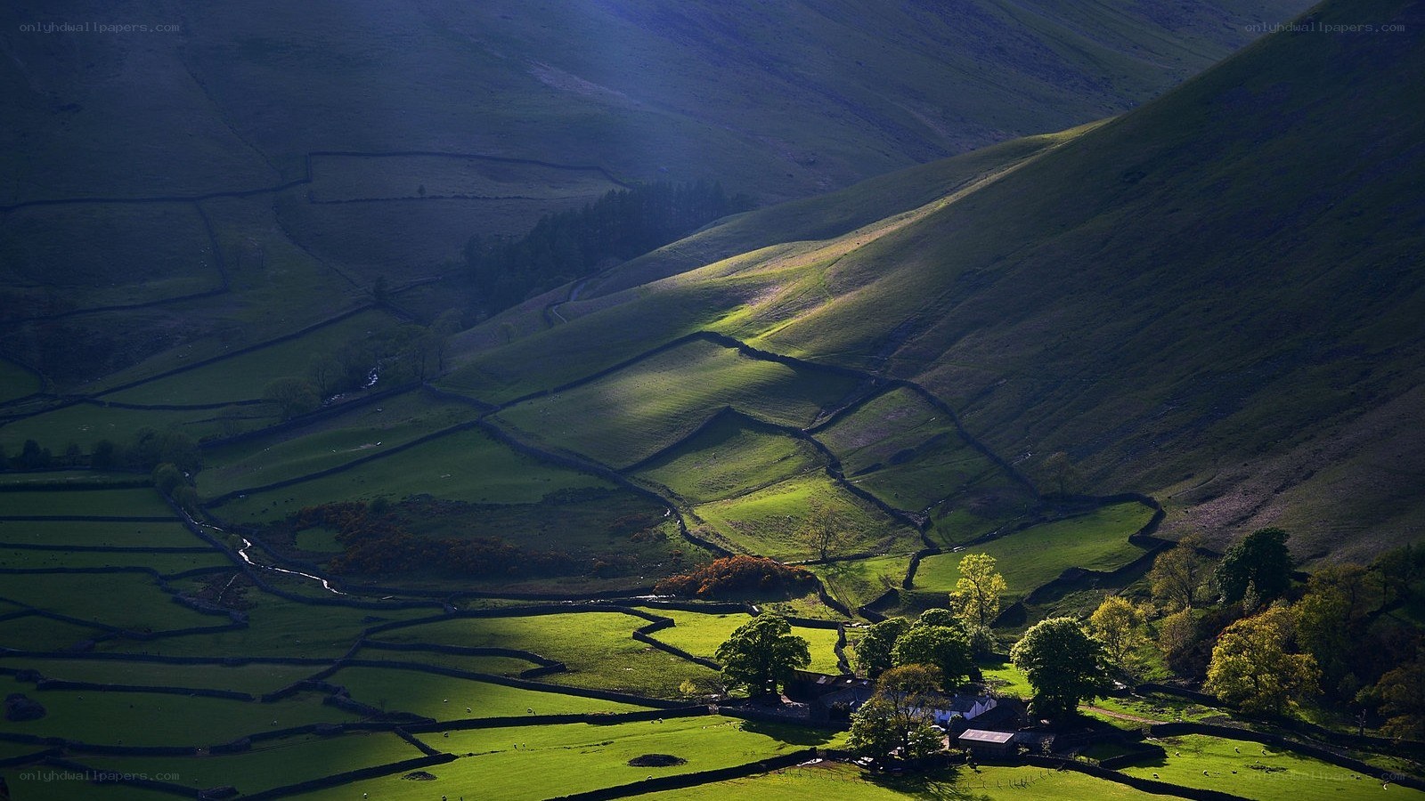 Sunlit valley with stone walls