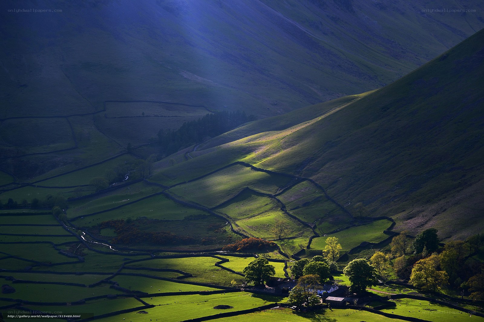 Sunlit valley with stone walls