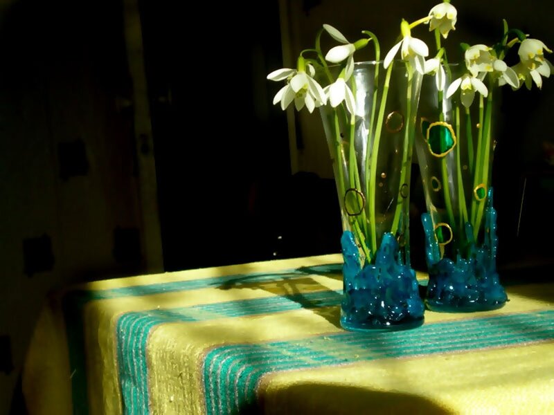Sunlit vases with snowdrops