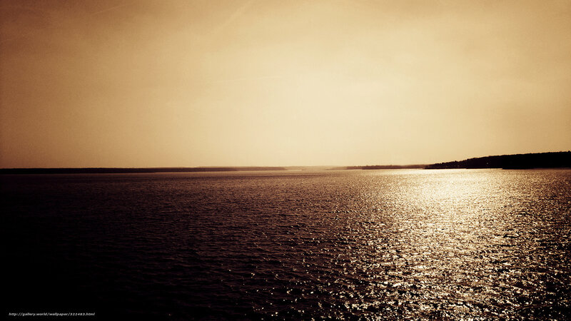 Sunlit Water Surface
