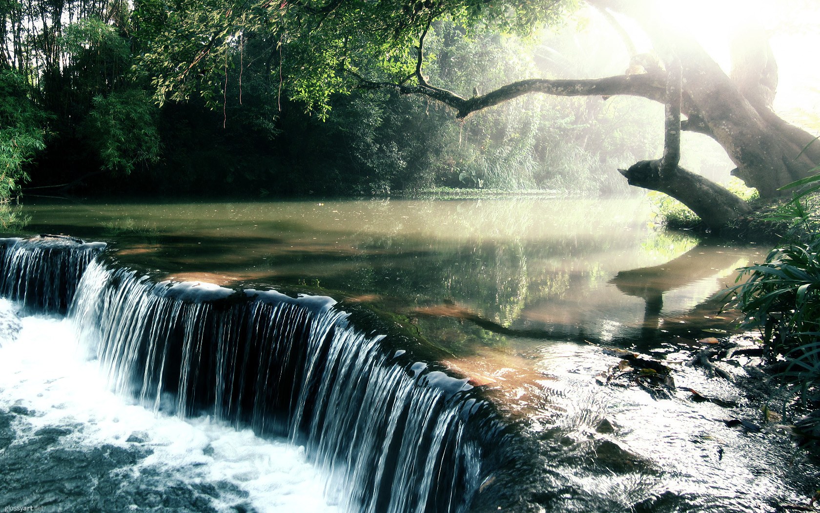 Sunlit waterfall in forest