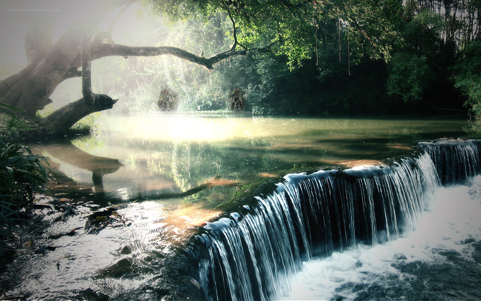 Sunlit waterfall in forest