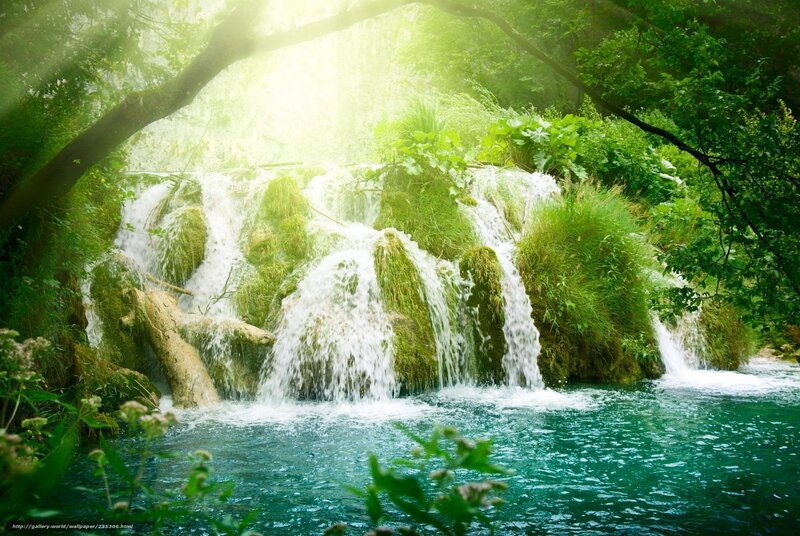 Sunlit waterfall in forest