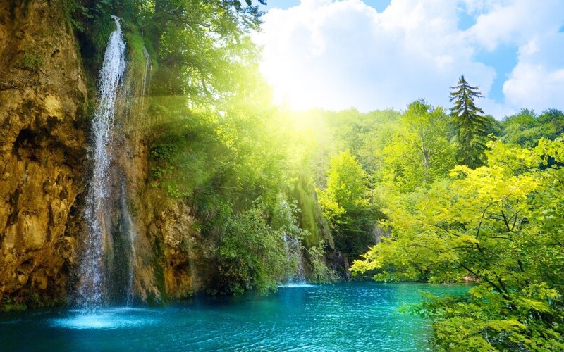 Sunlit waterfall in forest
