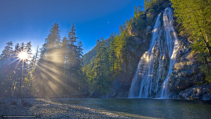 Sunlit waterfall in forest