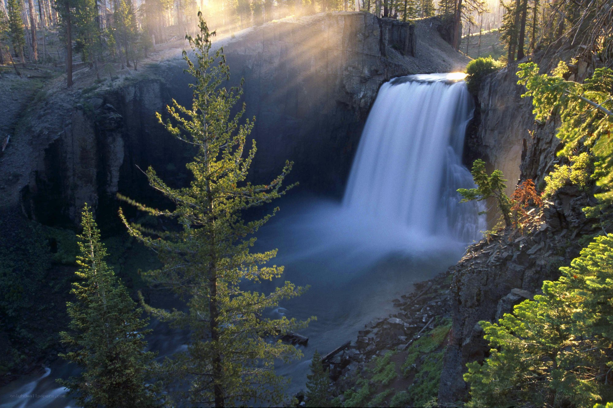 Sunlit waterfall in forest canyon