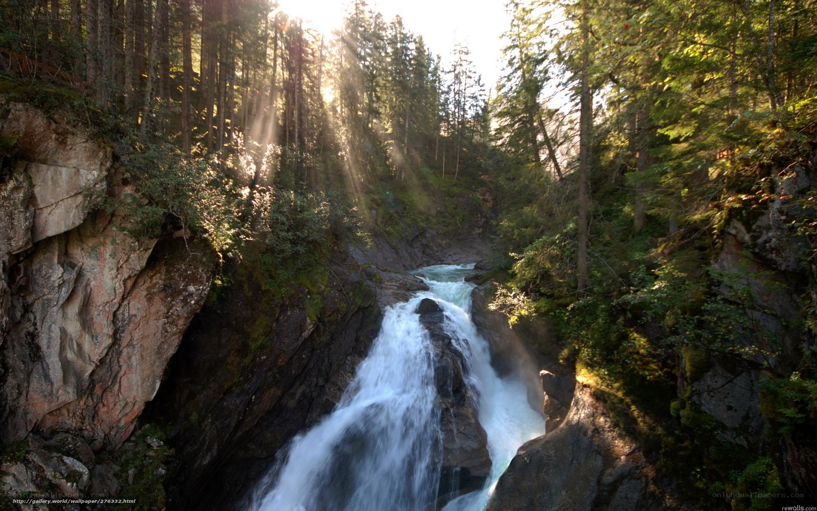 Sunlit waterfall in forest canyon