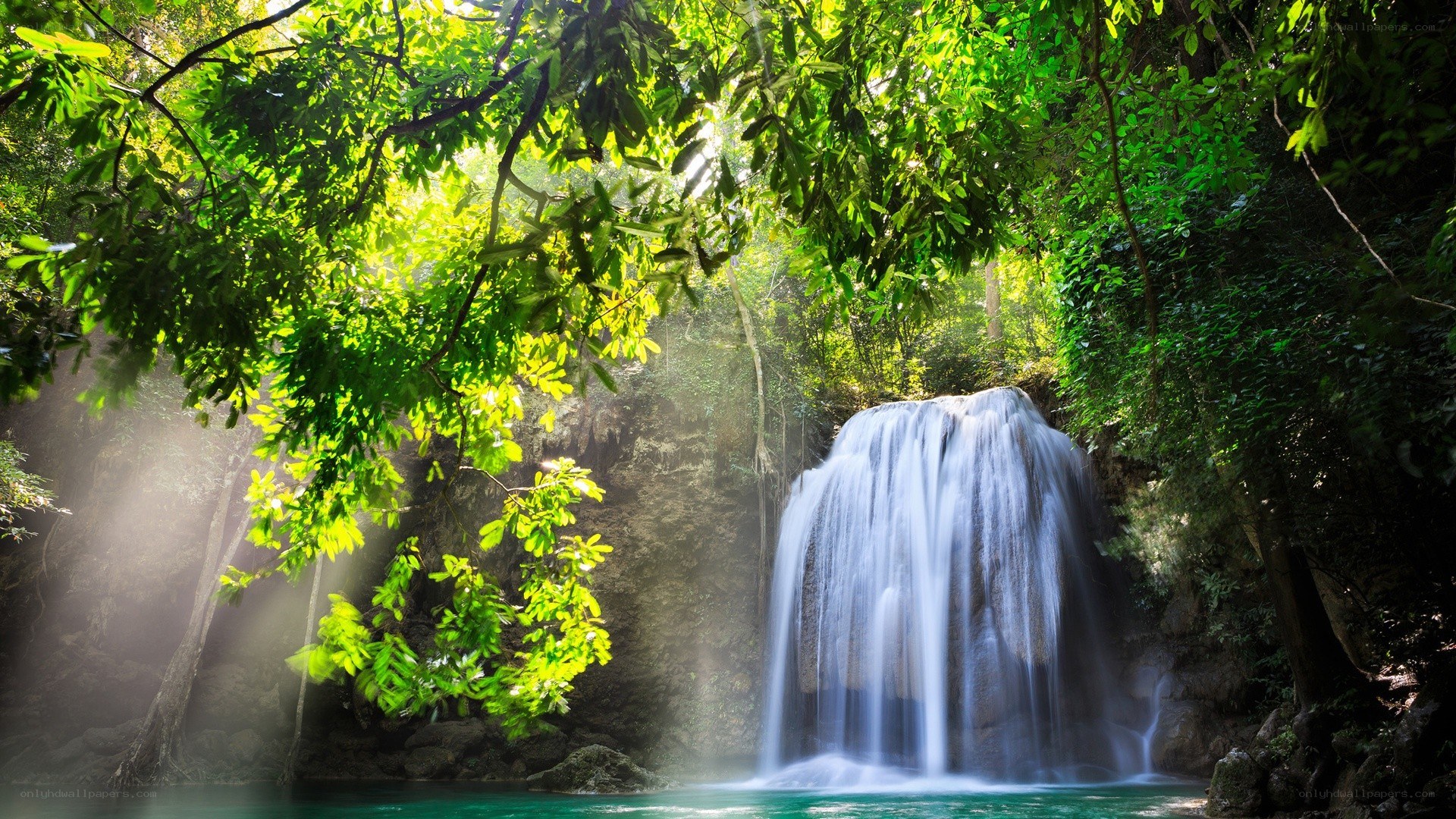 Sunlit waterfall in lush forest