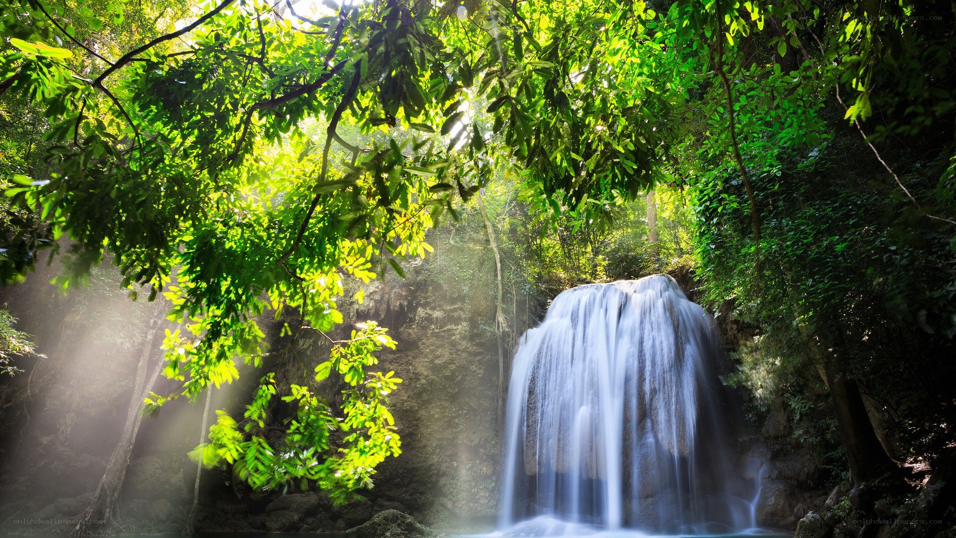 Sunlit waterfall in lush forest