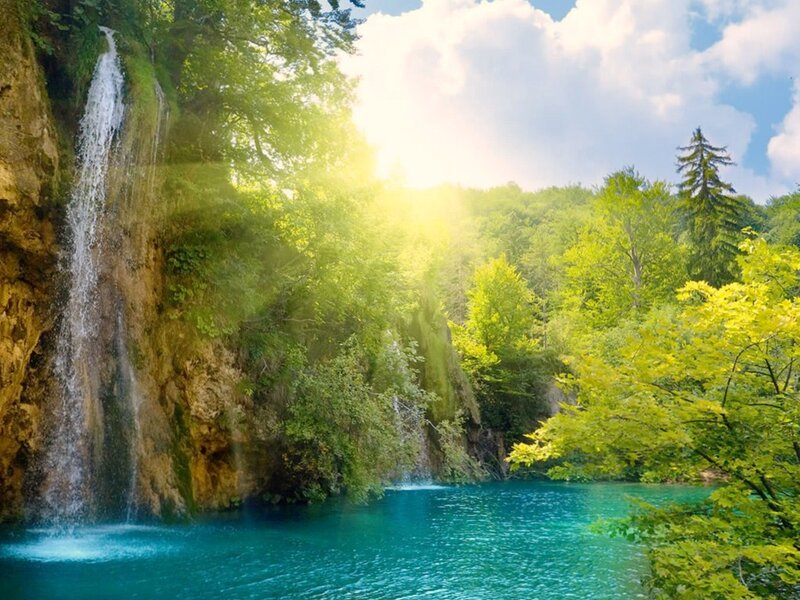 Sunlit waterfall in lush forest