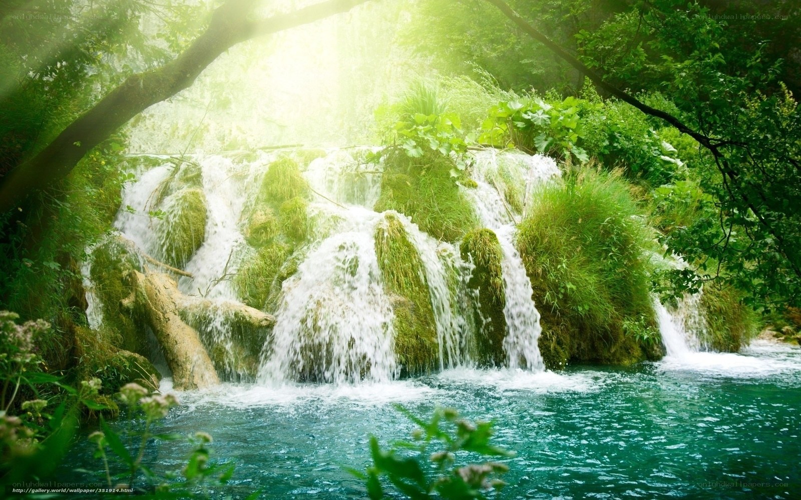 Sunlit waterfall in lush forest