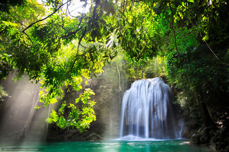 Sunlit waterfall in lush forest