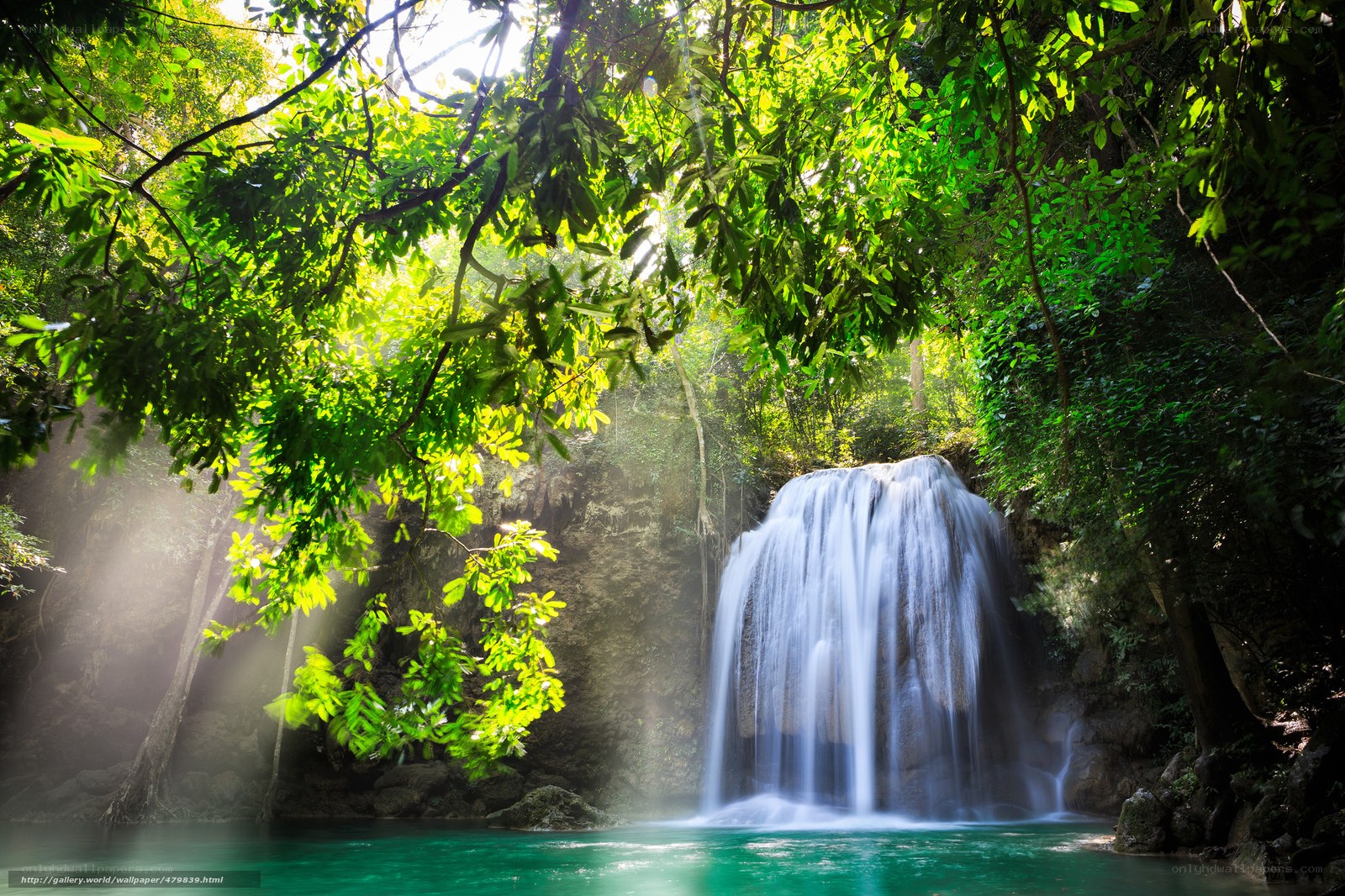 Sunlit waterfall in lush forest