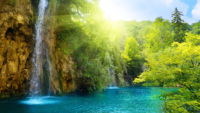 Sunlit waterfall in lush forest