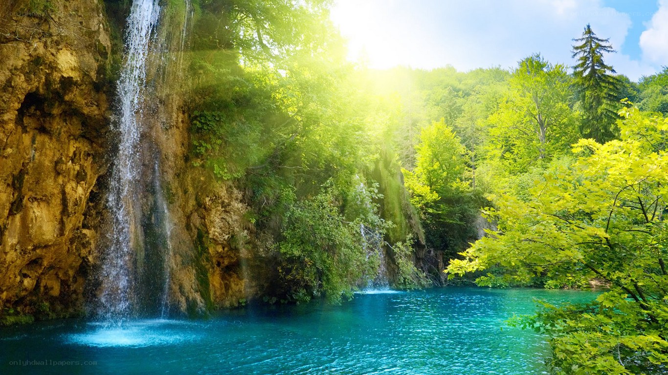 Sunlit waterfall in lush forest