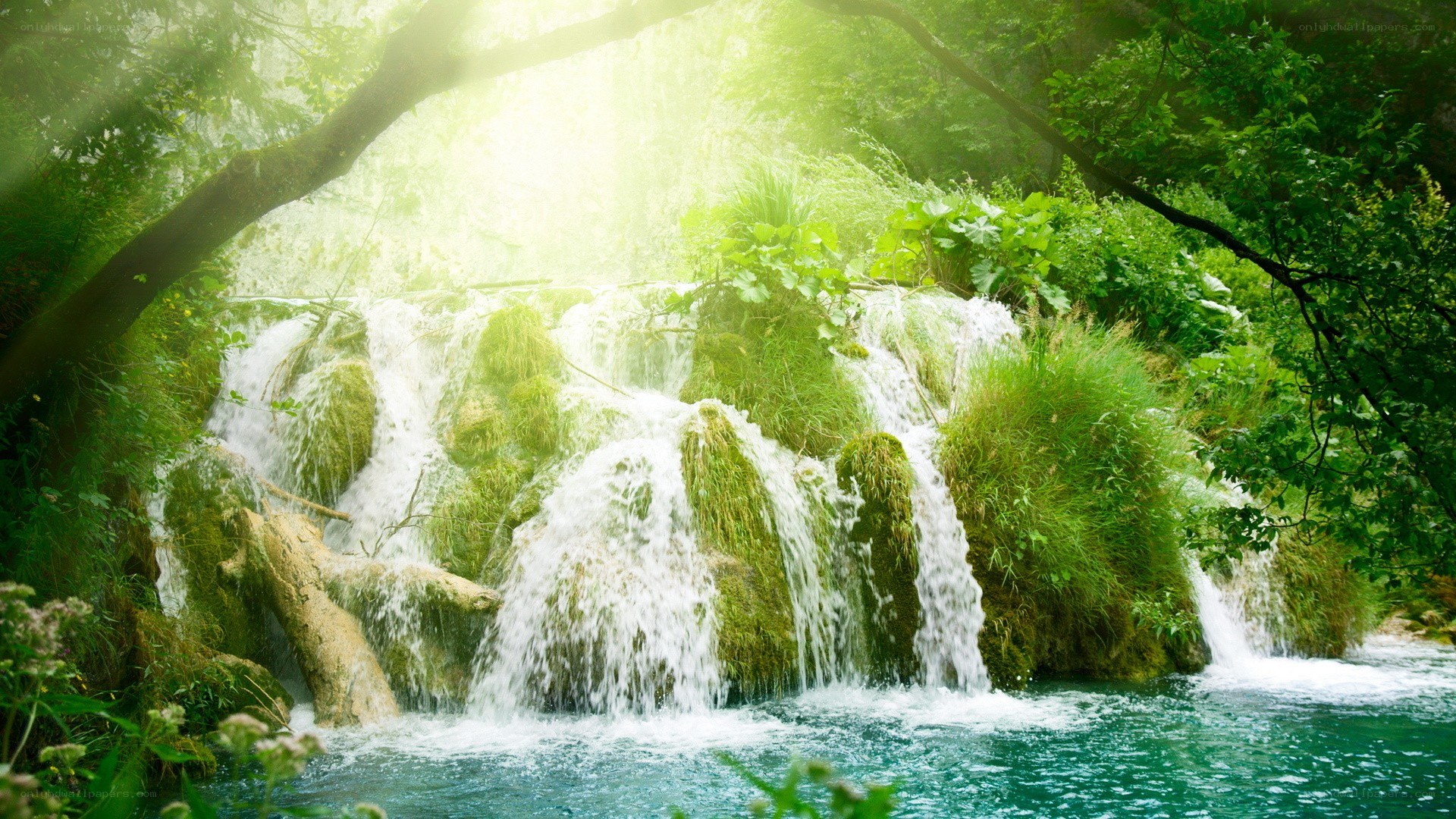 Sunlit waterfall in lush forest