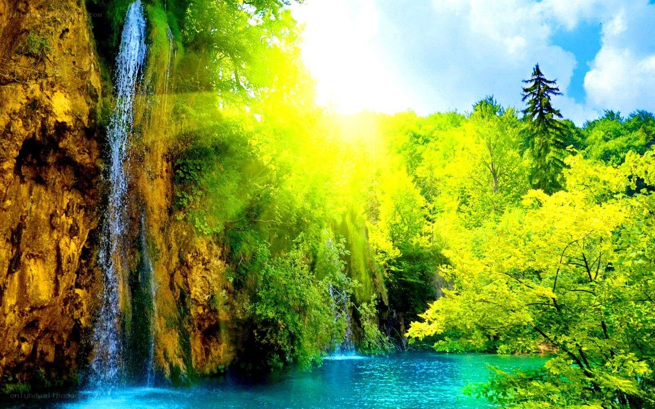 Sunlit waterfall in lush forest