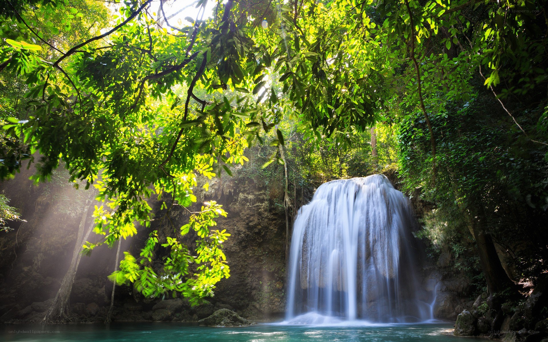 Sunlit waterfall in lush forest