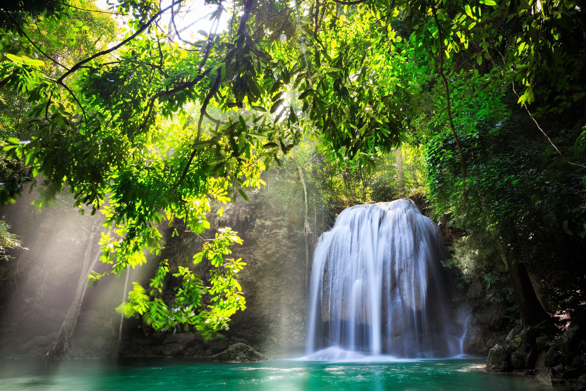 Sunlit waterfall in lush forest