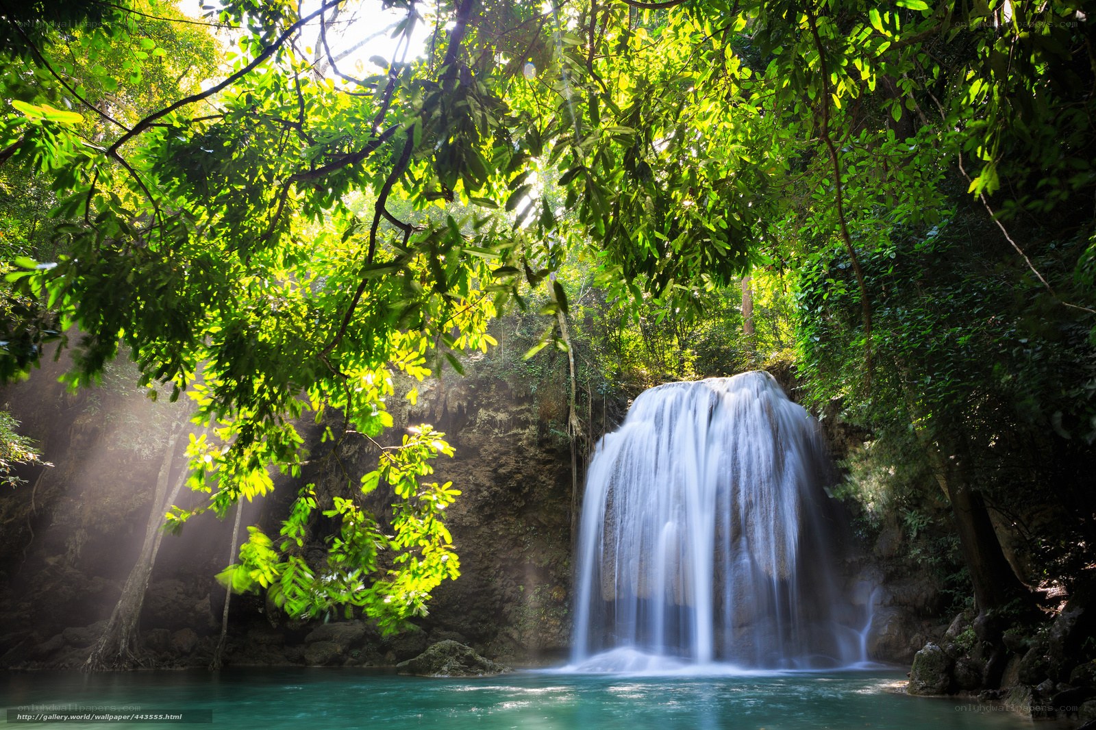Sunlit waterfall in tropical forest