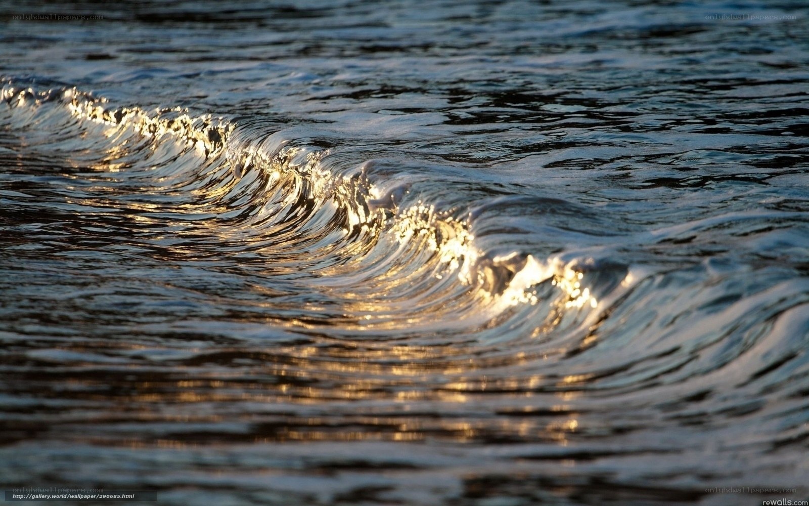 Sunlit wave crest