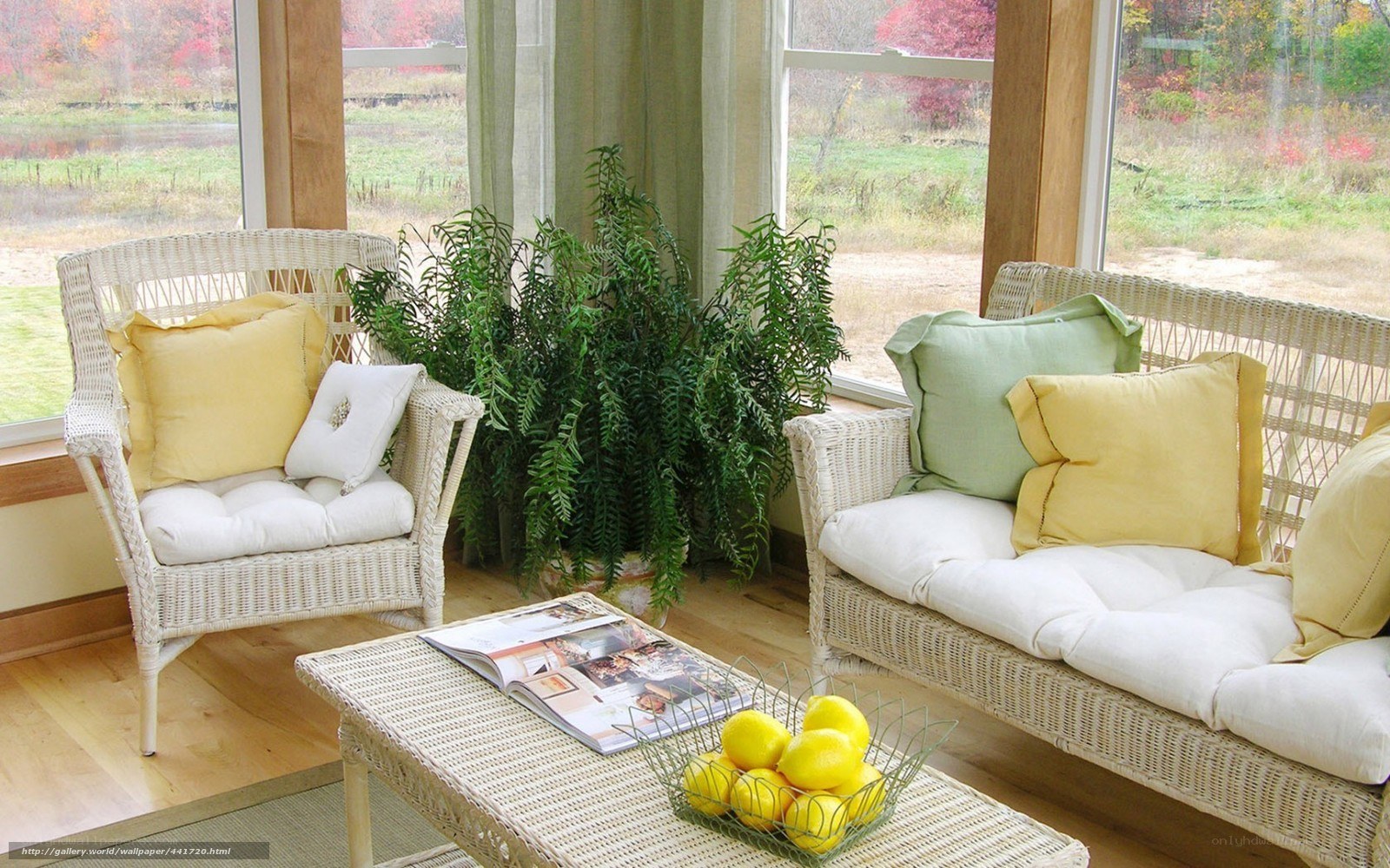 Sunlit wicker living room