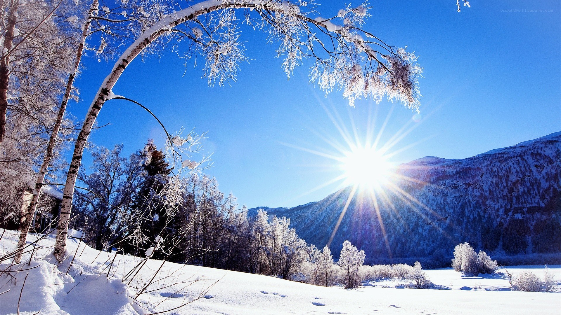 Sunlit winter landscape