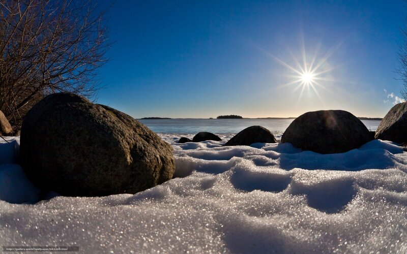Sunlit winter shoreline