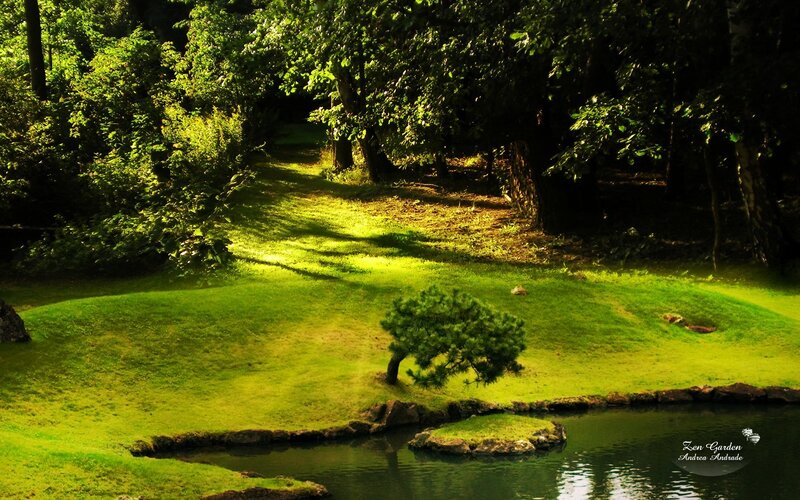 Sunlit Zen Garden Path