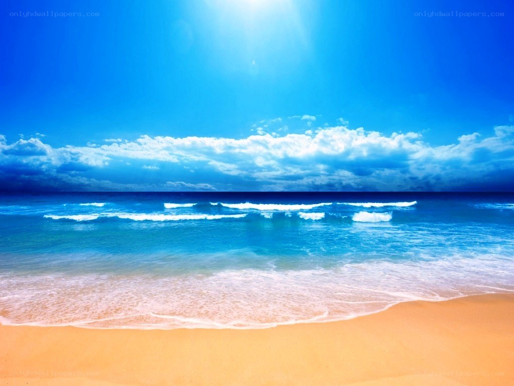 Sunny beach with blue sky