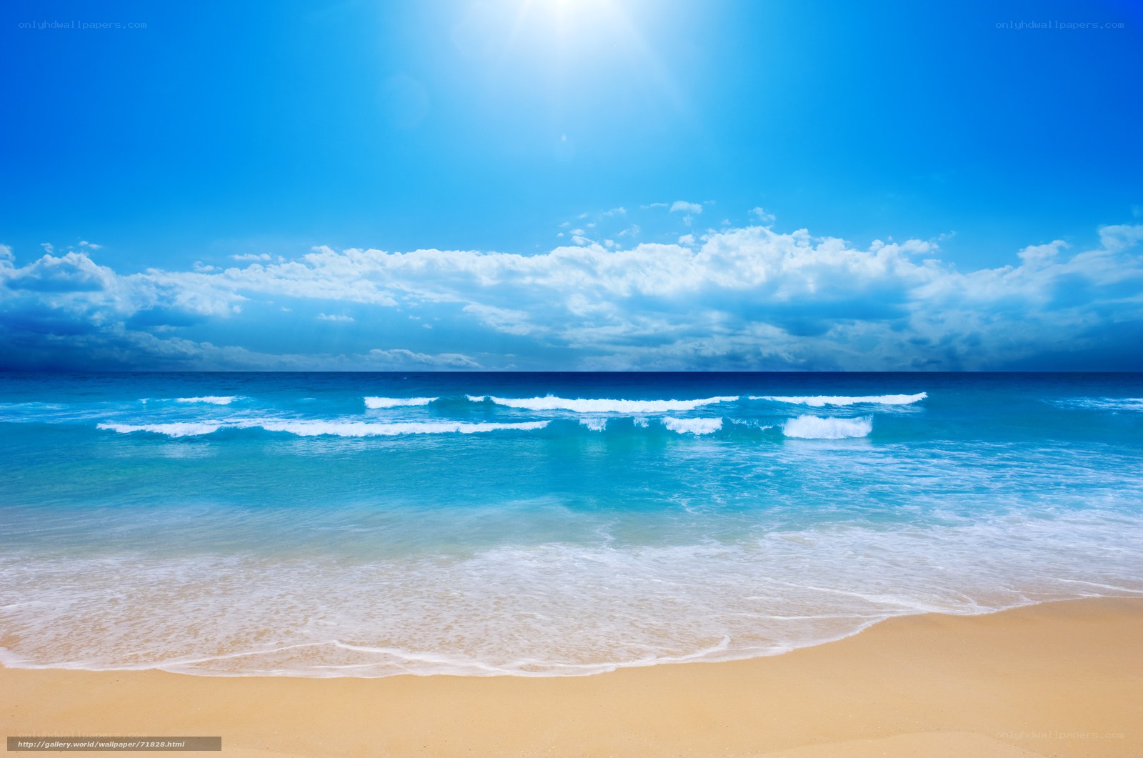 Sunny beach with blue sky