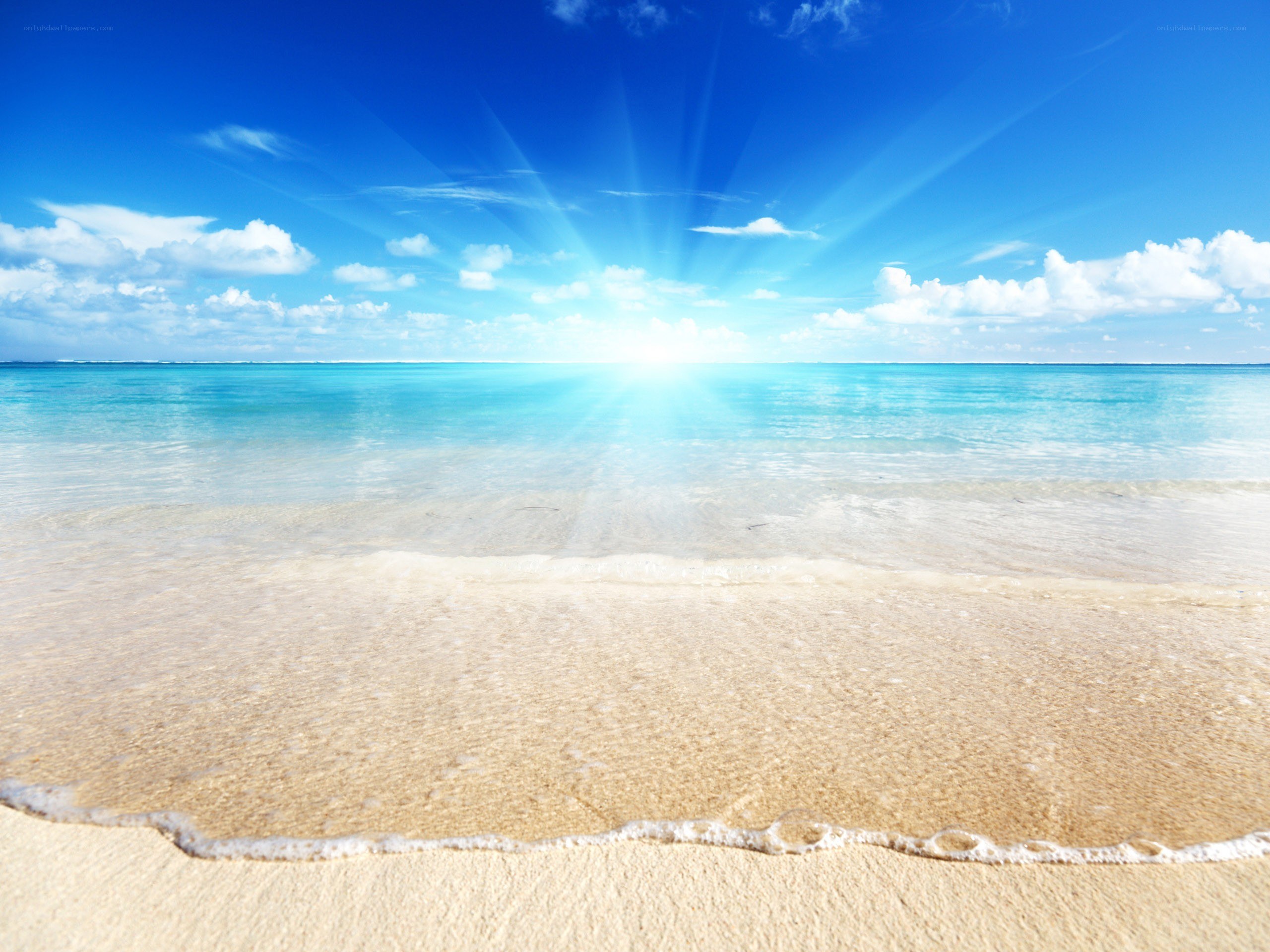 Sunny beach with clear blue sky