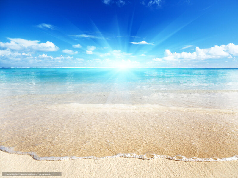 Sunny beach with clear blue sky