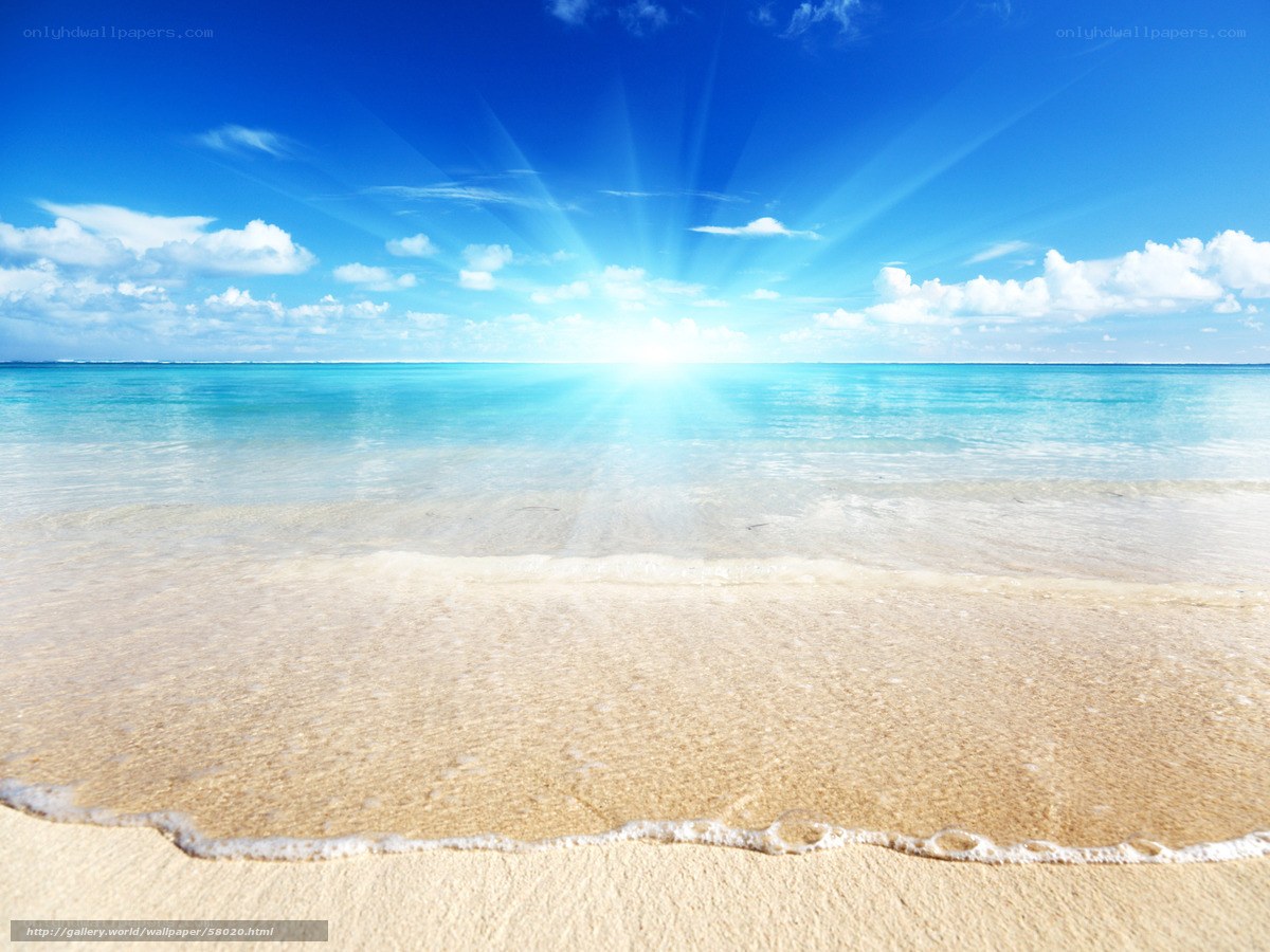 Sunny beach with clear blue sky