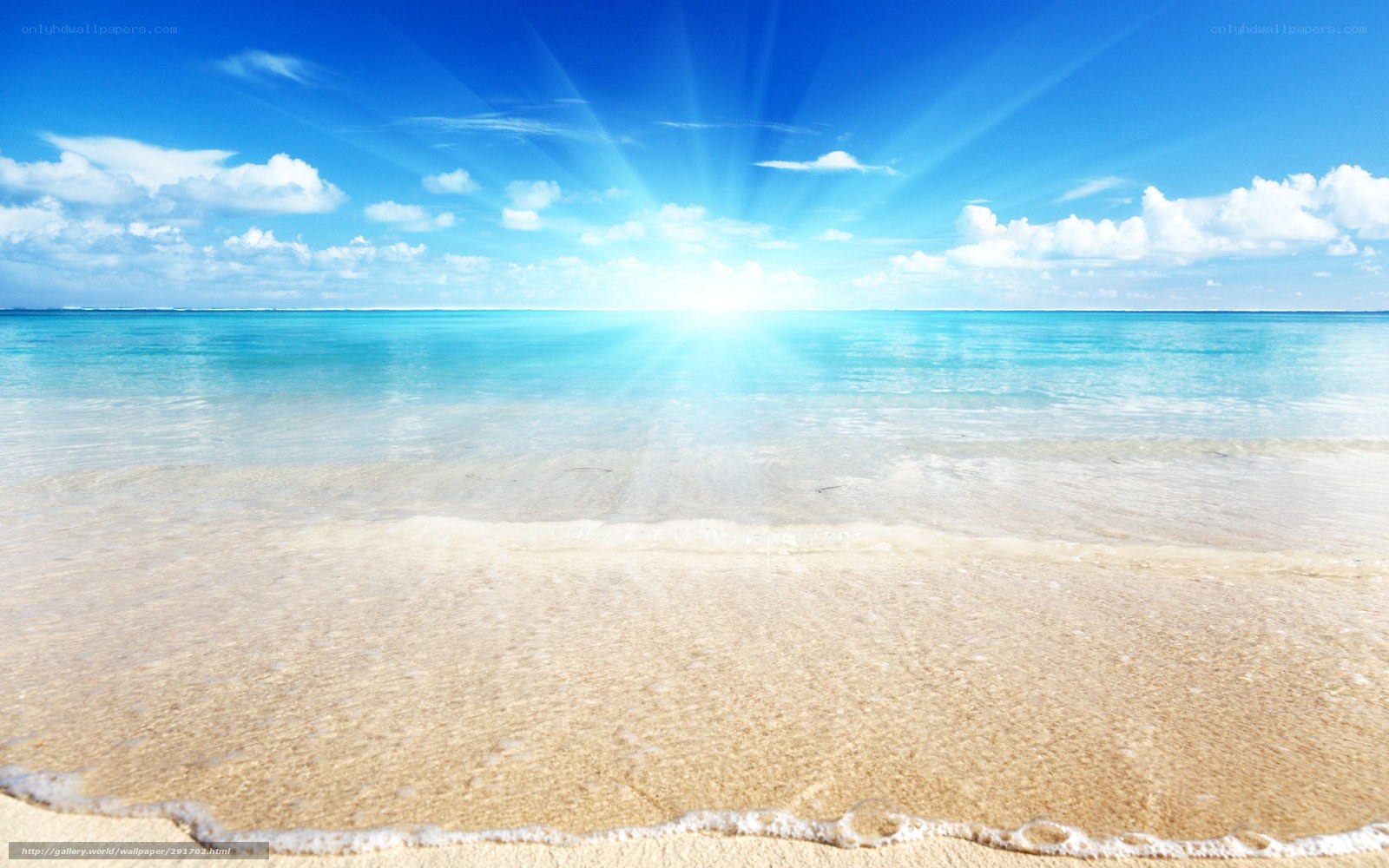 Sunny beach with clear blue water