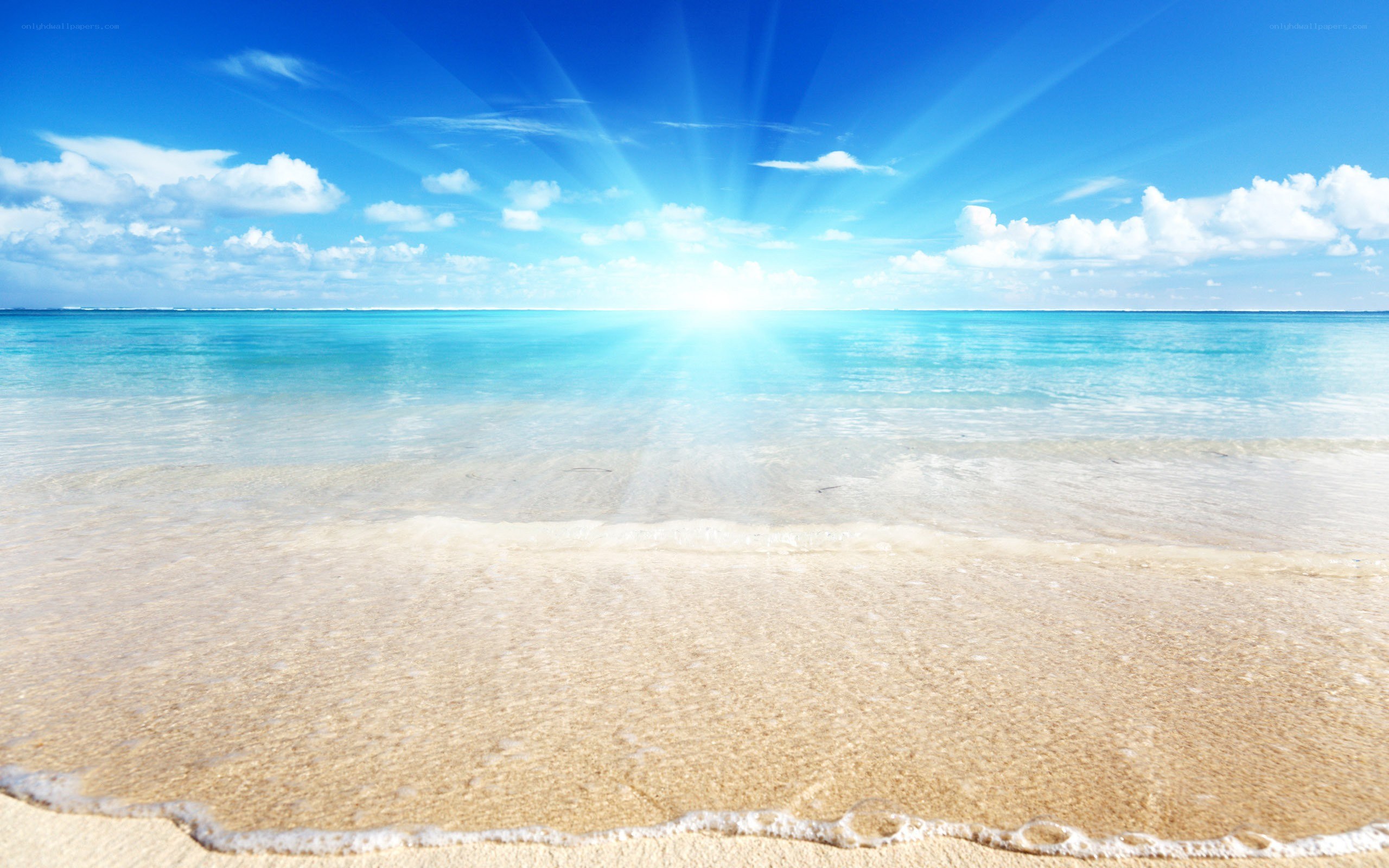sunny beach with clear water