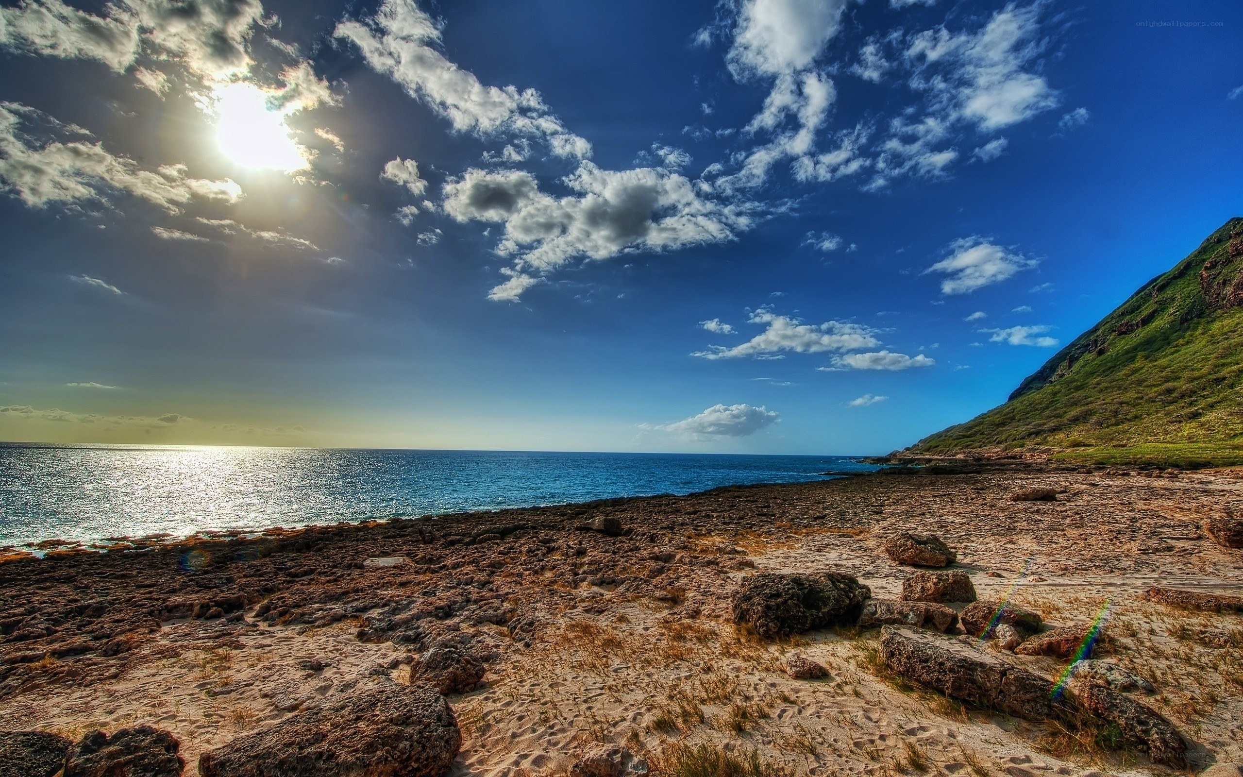sunny beach with rocky shore