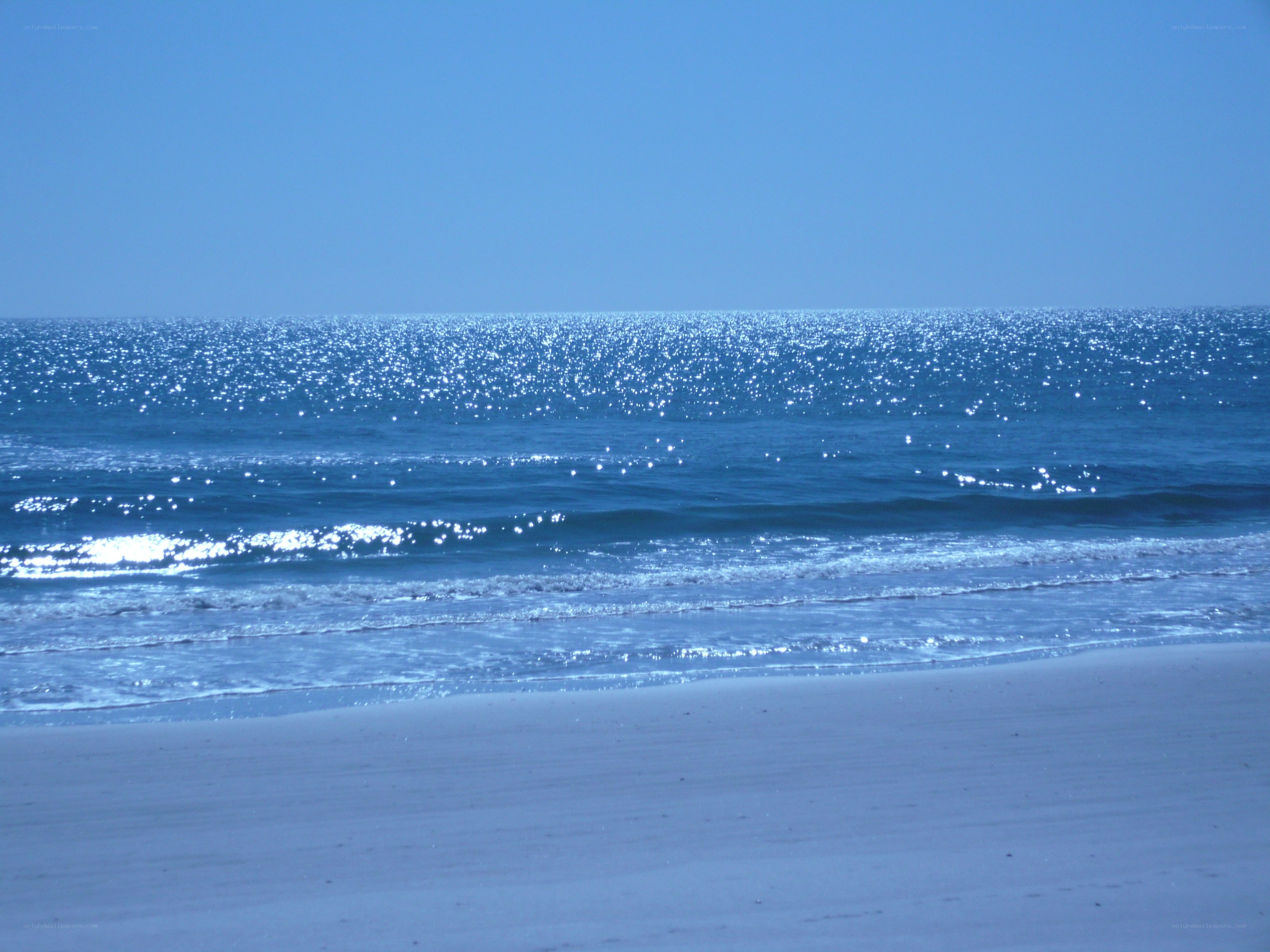 sunny beach with sparkling ocean