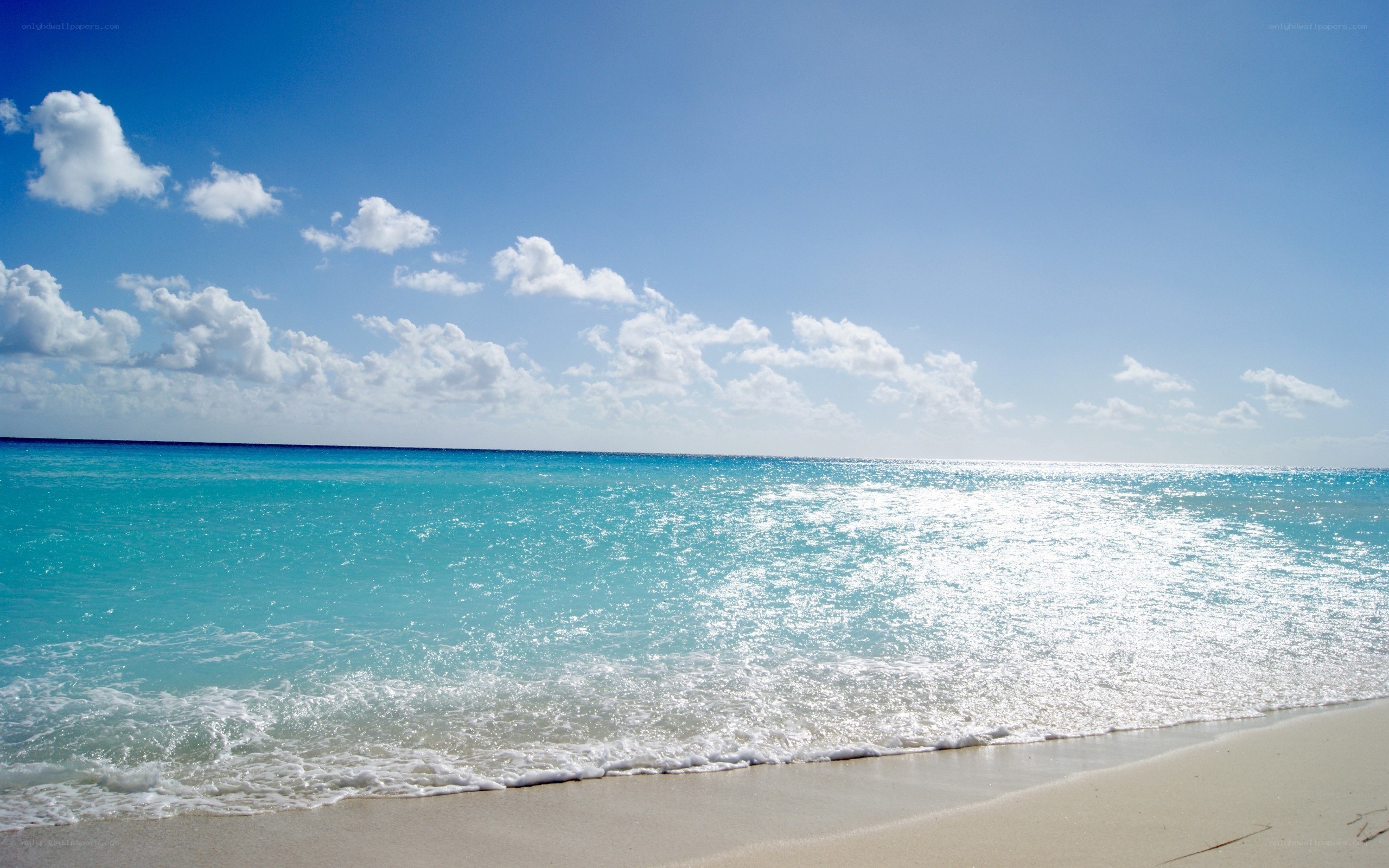 Sunny beach with turquoise water