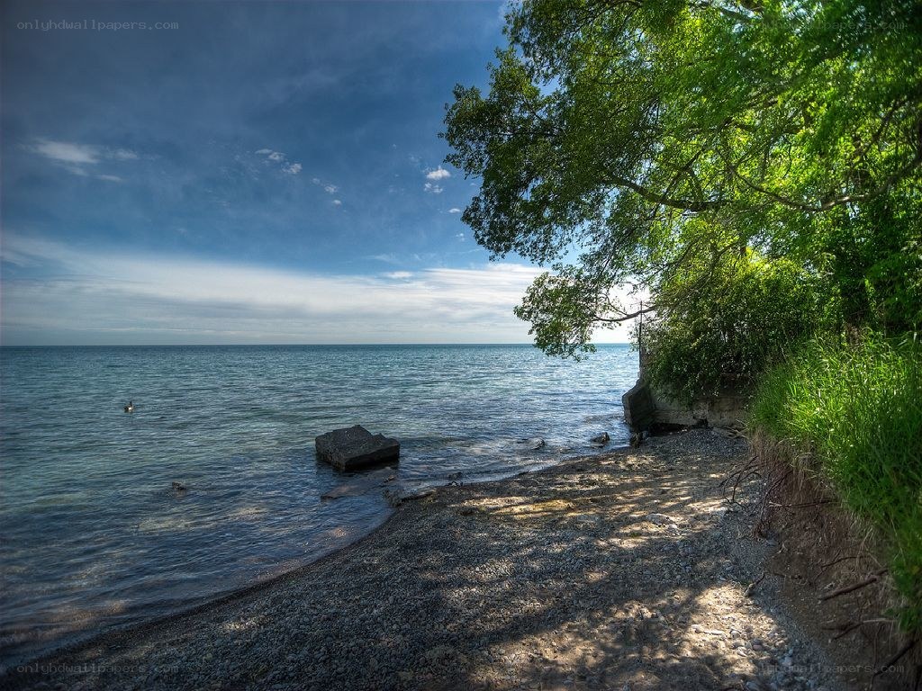 Sunny day at the lakeside
