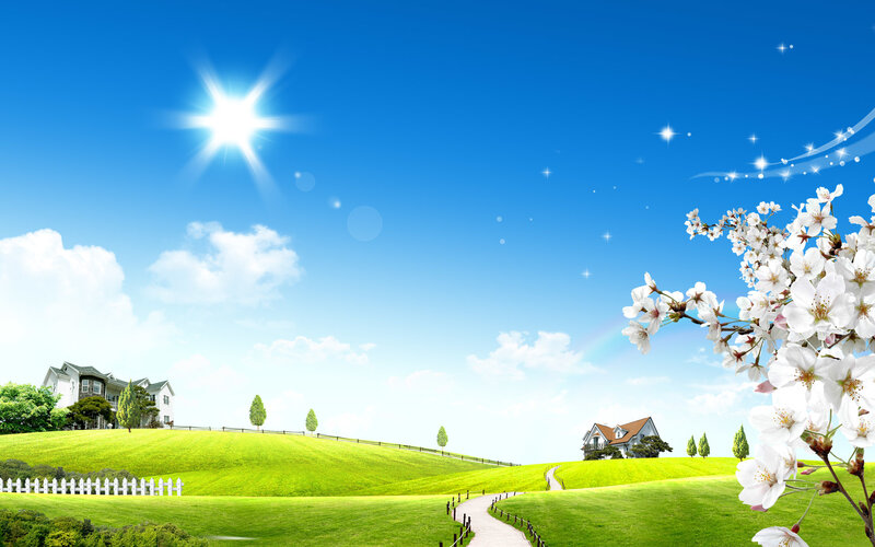 sunny day in the countryside