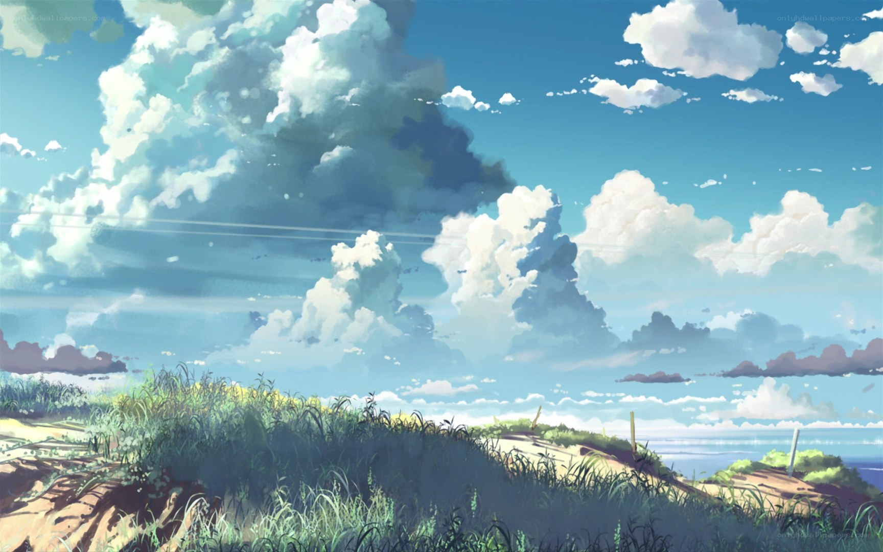 Sunny day over coastal dunes