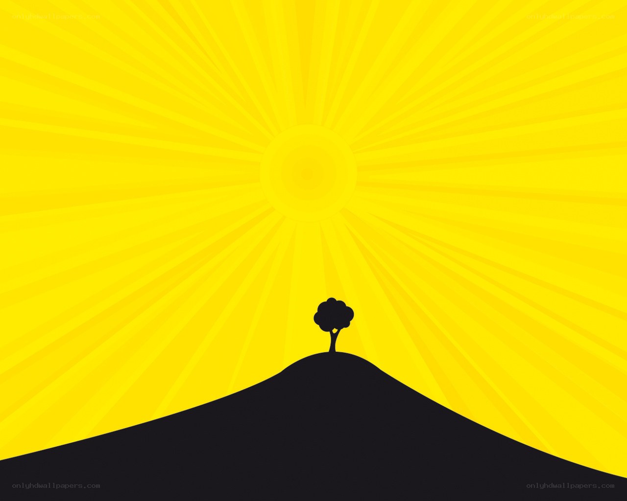 sunny hill with tree