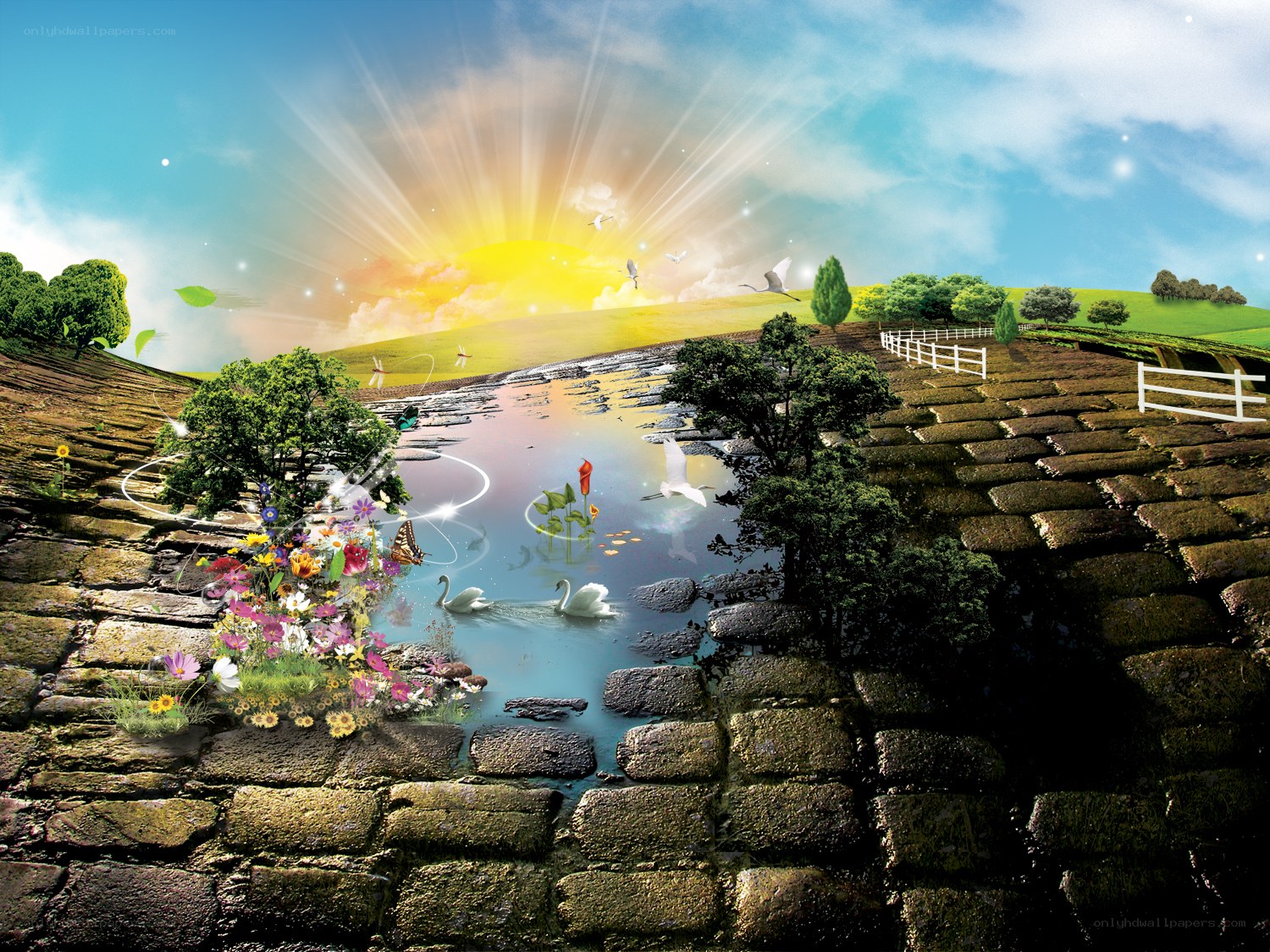 sunny landscape with pond