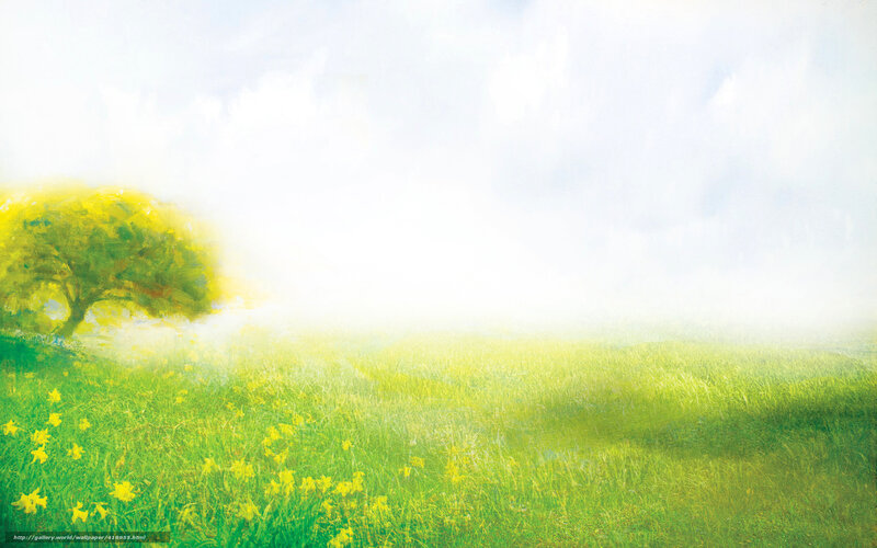 Sunny meadow with a tree
