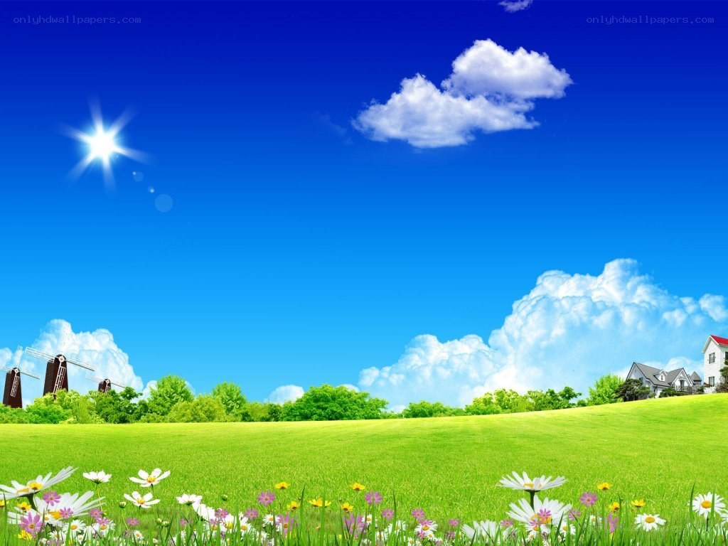sunny meadow with windmills