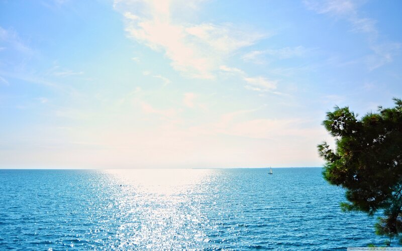 Sunny sea with sailboat