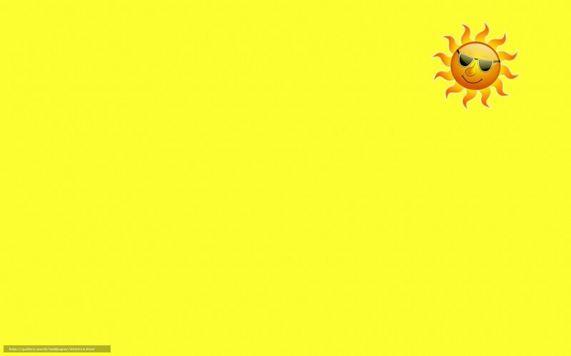 sunny with sunglasses