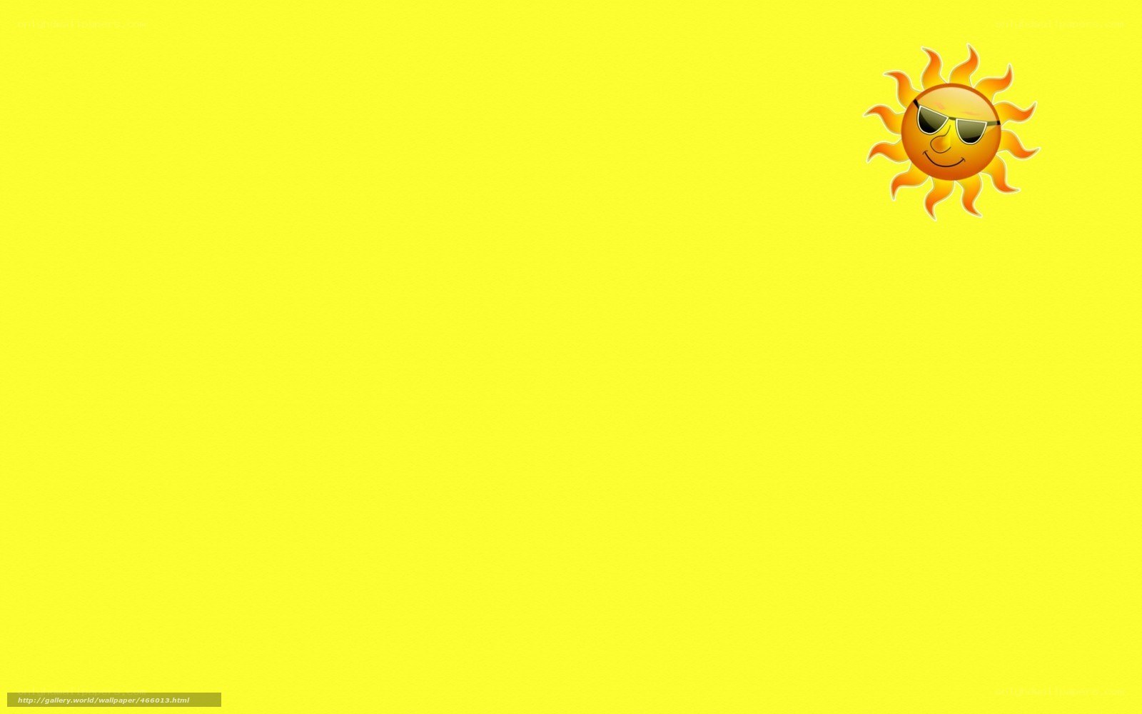 sunny with sunglasses